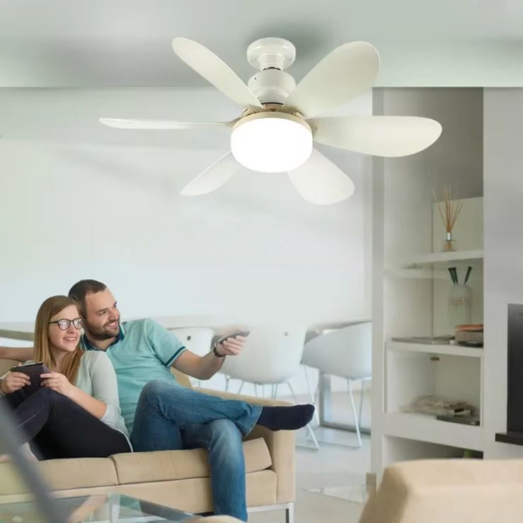 Ceiling Fan with Light