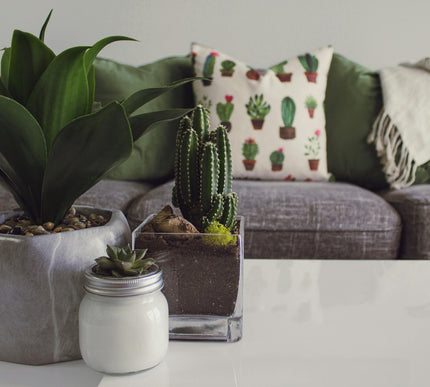 Collection image for: Home Decor